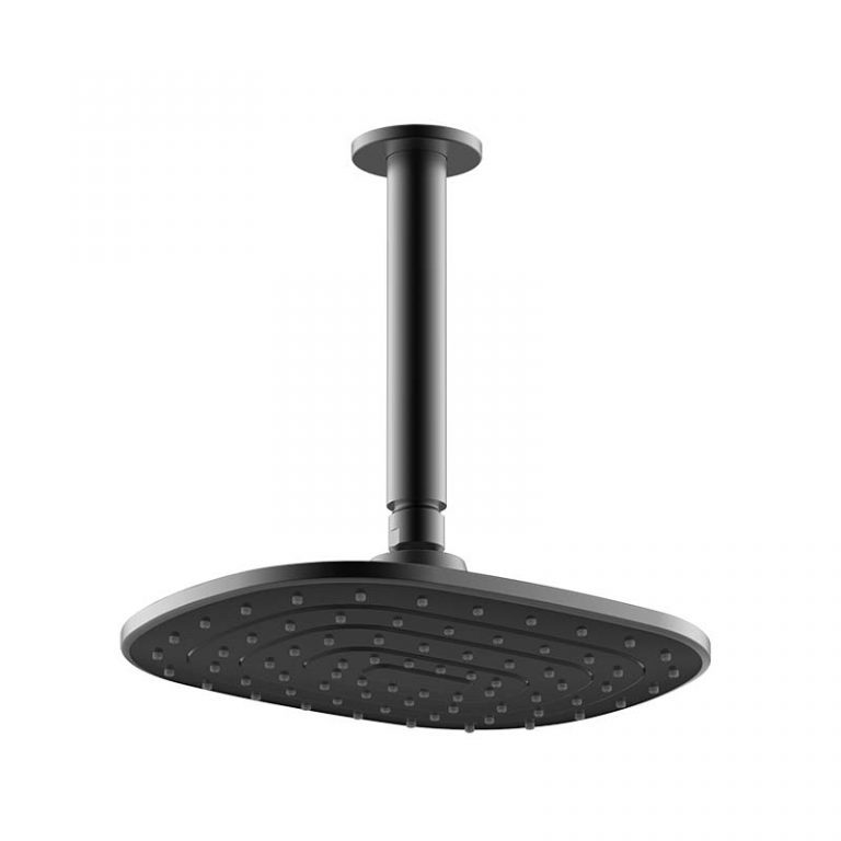 Rain Head Ceiling Mounted Dolphin Showers & Bathrooms